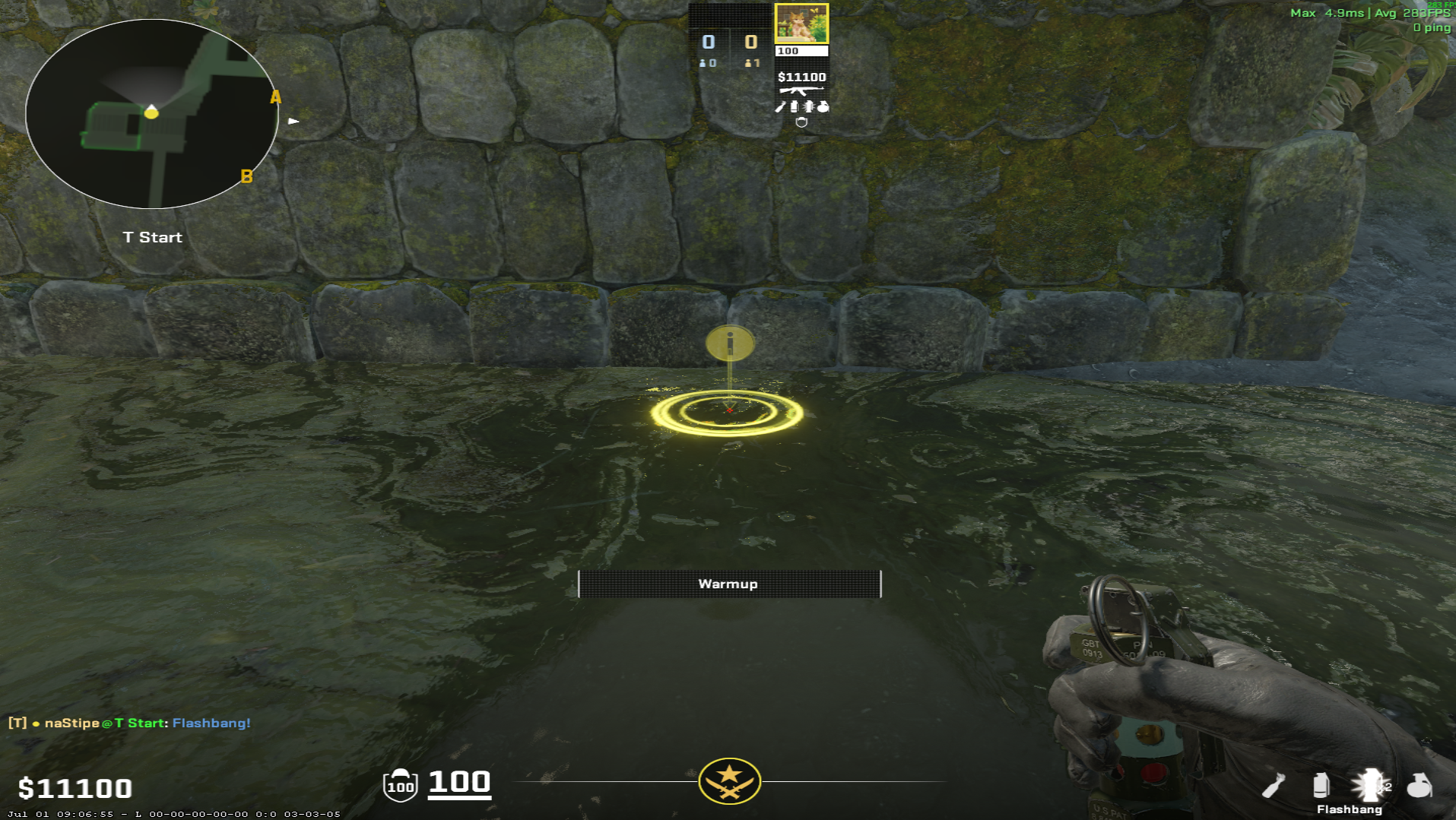 Ancient flash lineup Mid Flash from T Spawn — throw 1, where to stand